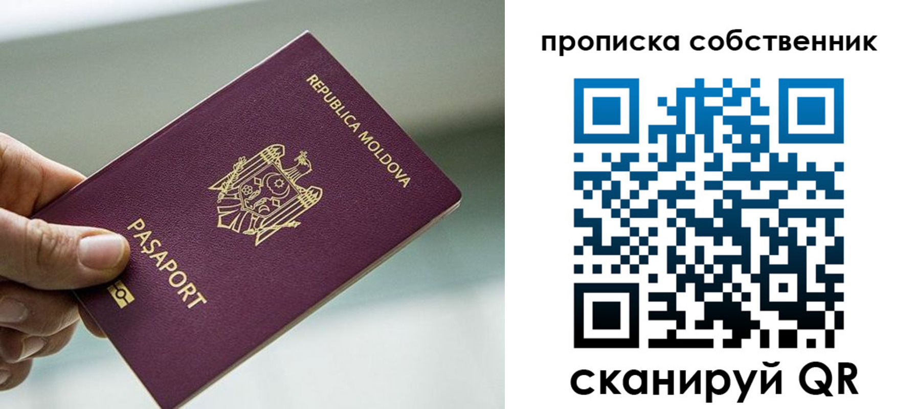 прописка паспорт в Чудово